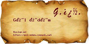 Gál Ádám névjegykártya