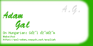 adam gal business card
